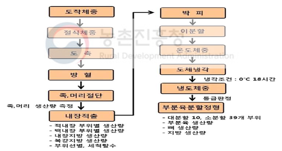 소 도축공정