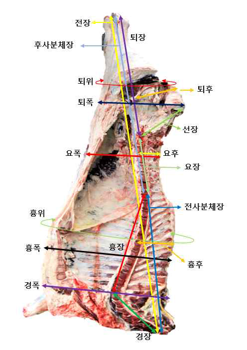 도체규격 조사