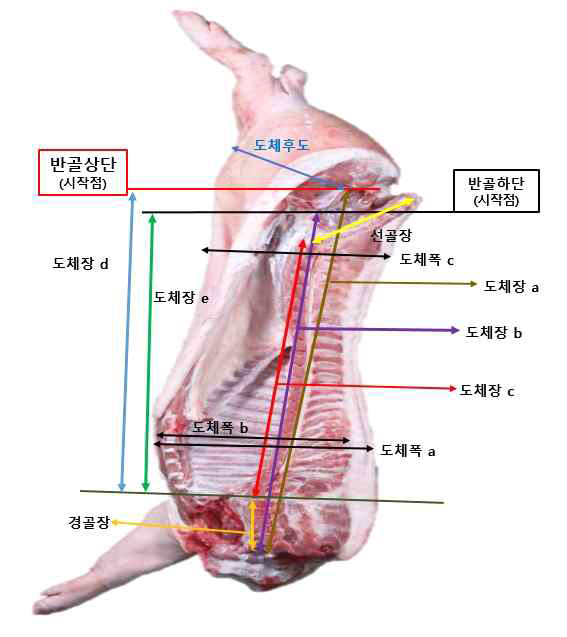 도체규격 조사