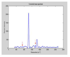액상 카바닐(10,000 ppm)의 라만 스펙트럼 분석
