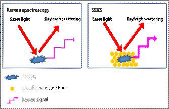 라만 스펙트럼과 SERS의 차이를 나타낸 모식도(Zhao et al.(2018)