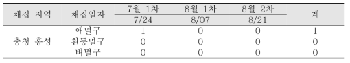 충청 홍성지역에서의 육안조사 날짜 및 결과