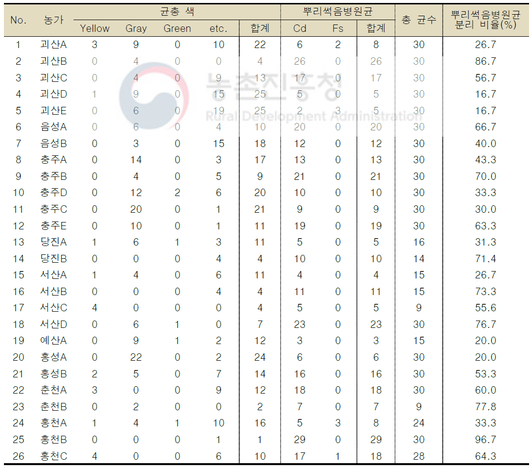 인삼 6년근 수확포장의 이병식물에서 분리된 곰팡이 분리 결과