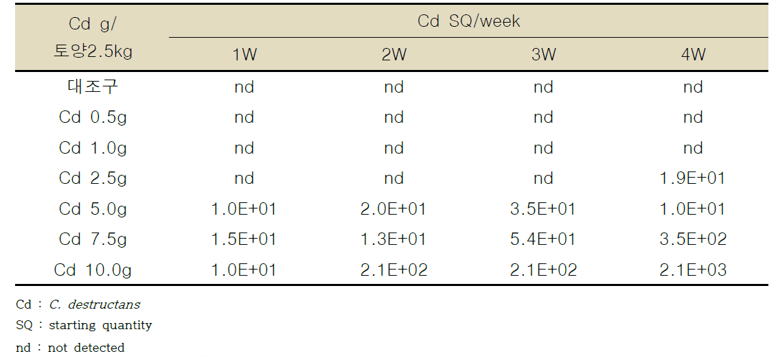C. destructans 병원균 접종 농도에 따른 토양 내 밀도 검정 결과
