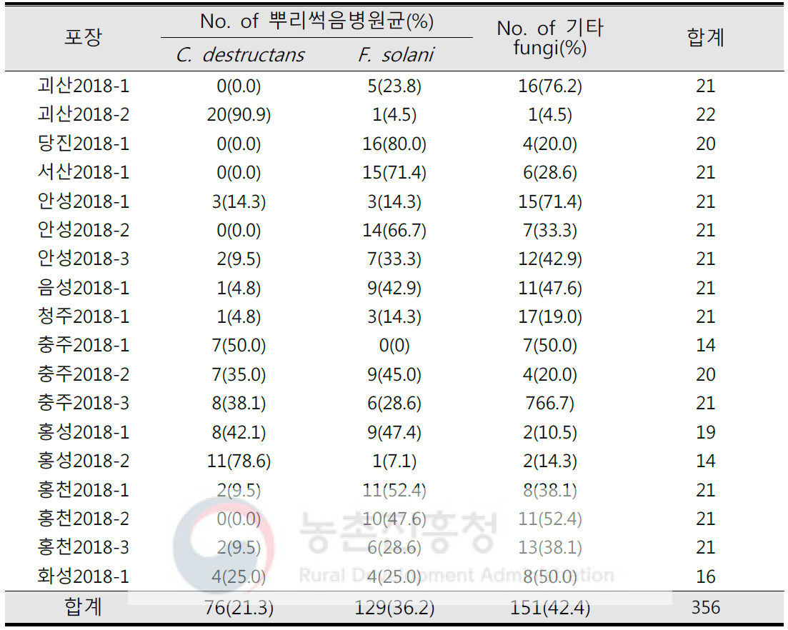 2018년 6년근 인삼 수확포장의 이병식물에서 분리된 곰팡이 동정 결과