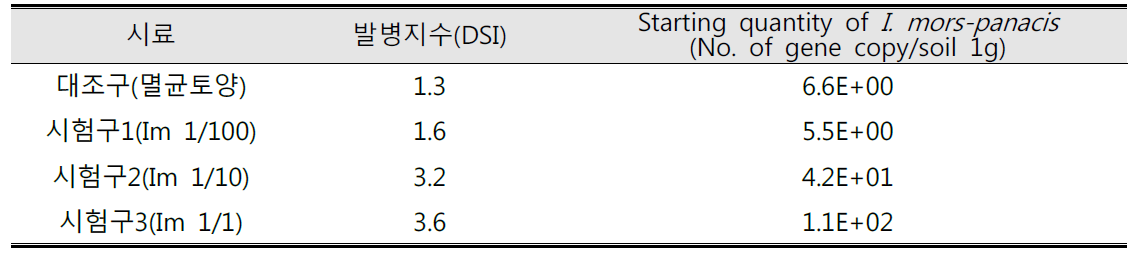 I . mors-pancis 이병토양 농도에 따른 뿌리썩음병 발병지수 및 병원균 밀도 분석