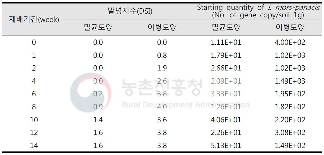 I. mors-pancis 이병토양에서 인삼 재배기간에 따른 뿌리썩음병 발병지수 및 병원균 밀도 분석
