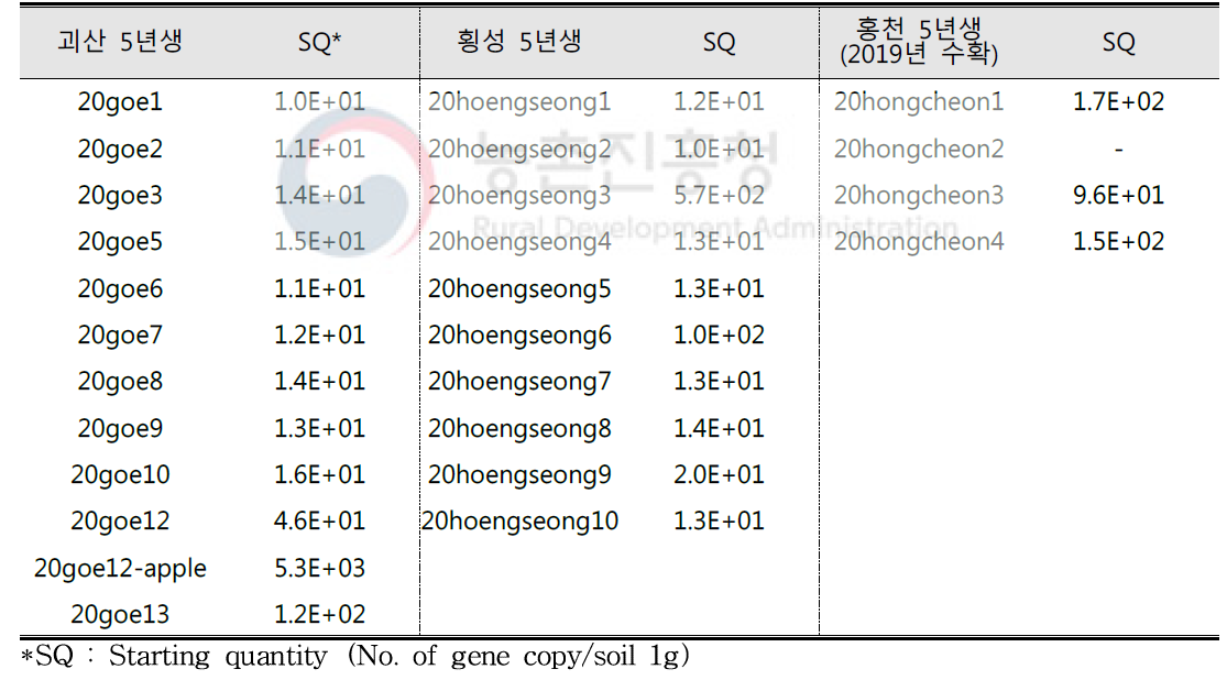 인삼 재배 연수별(5년생) 토양 속 인삼뿌리썩음병원균 밀도 분석