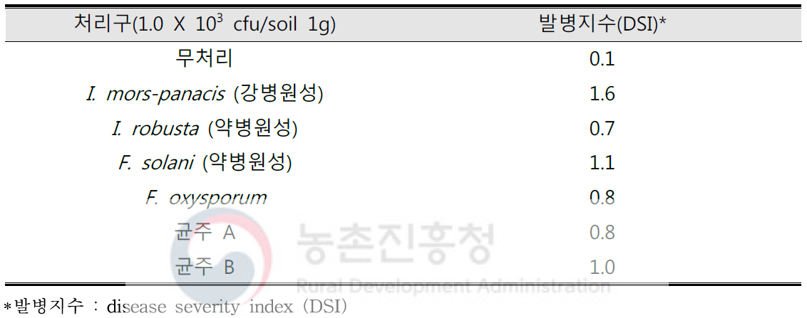 신규 인삼뿌리썩음병원균 발병지수 분석