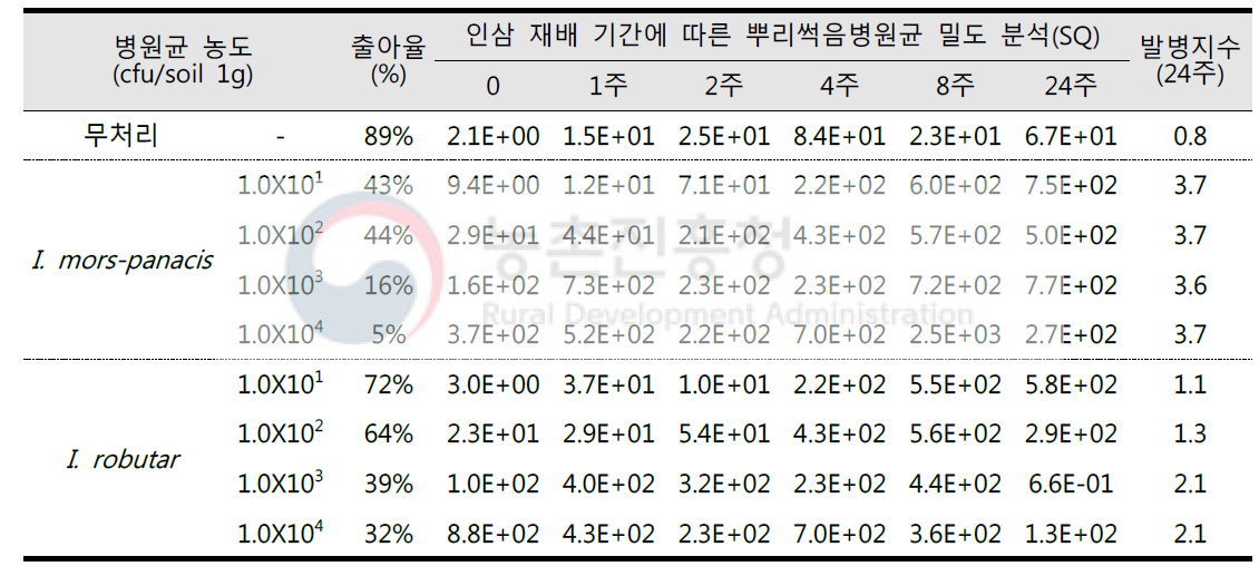 인삼 재배 기간에 따른 균주별 토양 속 밀도 분석