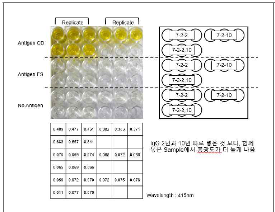 항원 epitope 테스트