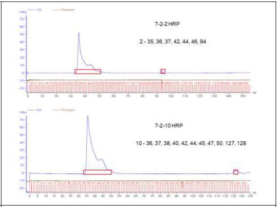 IgG-HRP의 FPLC 결과