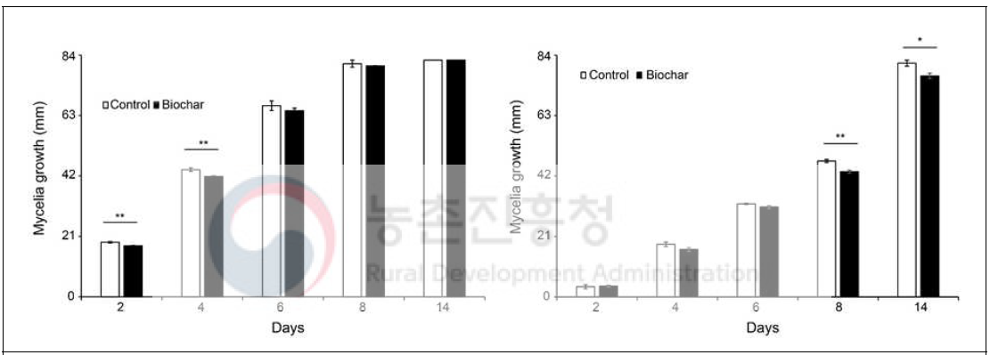 바이오차가 F. solani(좌)와 C. destructans(우) 균사 생장에 미치는 영향