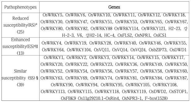 과발현 집단( OsWRKY등)의 벼 흰잎마름병 검정 결과
