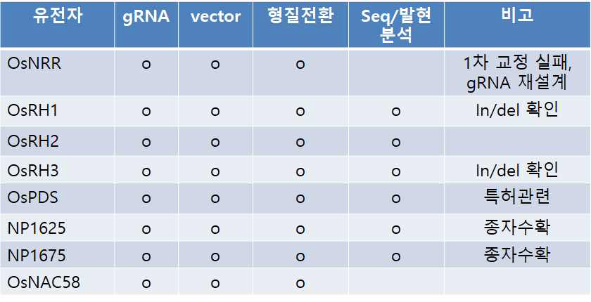 CRISPR/Cas9을 이용한 유전자 knock-out 형질전환체 제작