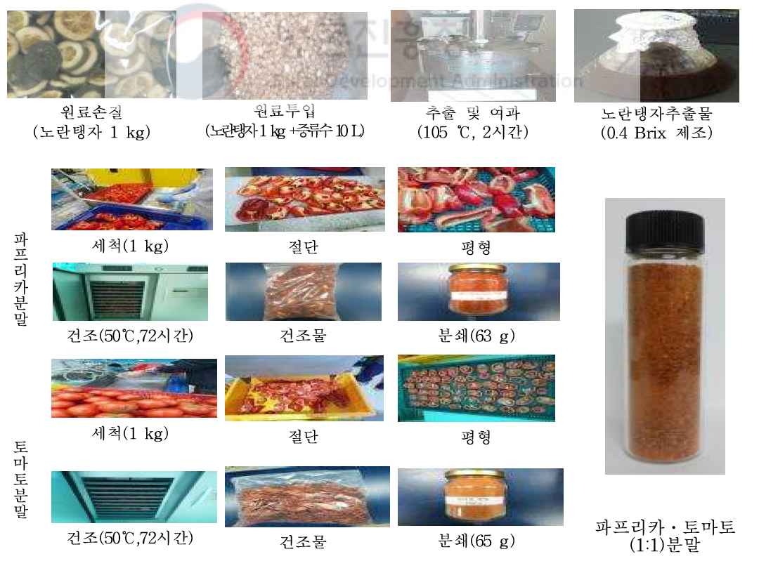 탱자추출물 및 토마토 · 파프리카분말 제조