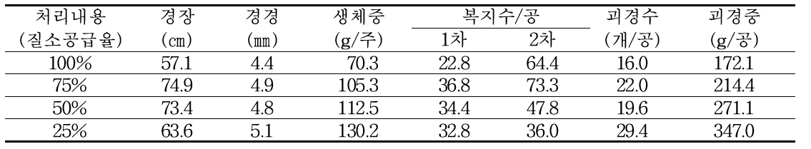 가을재배시 질소 공급량에 따른 생육 및 수량특성