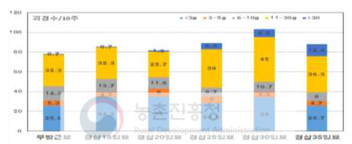 묘 종류에 따른 크기별 괴경수