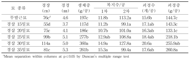 봄재배시 묘 종류별 생육 및 수량 특성