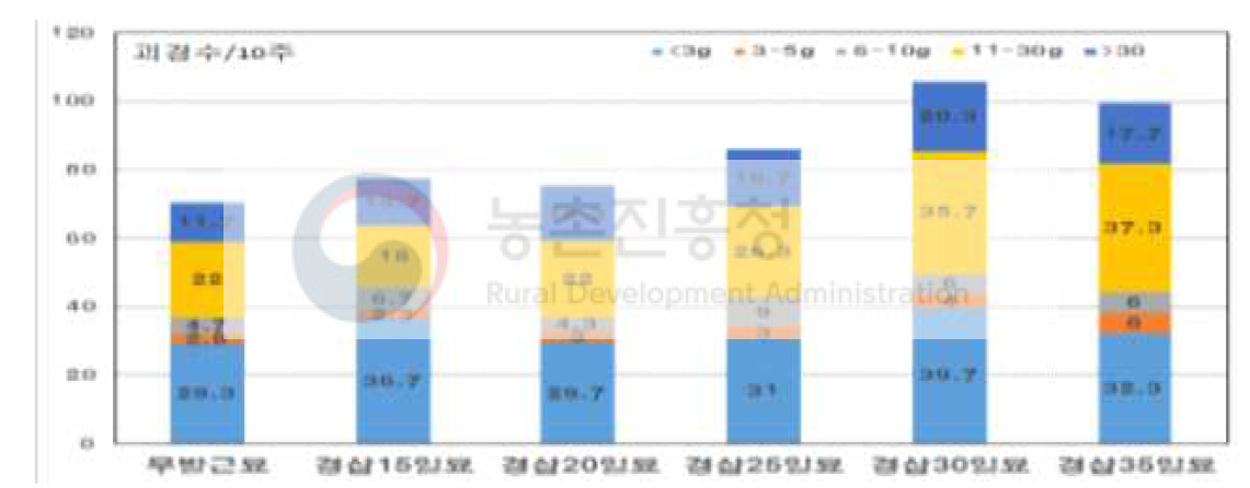 묘 종류에 따른 크기별 괴경수