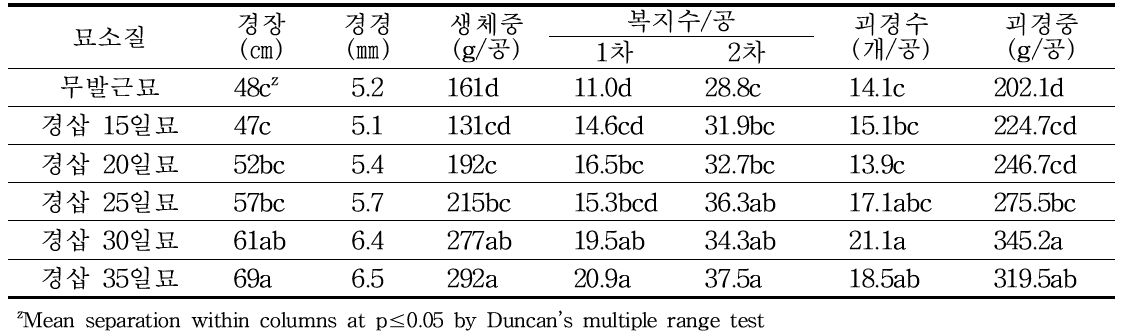 가을재배시 묘 종류별 생육 및 수량 특성