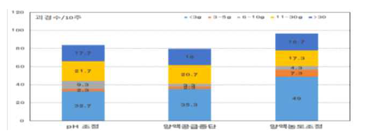 괴경형성 처리에 따른 괴경수