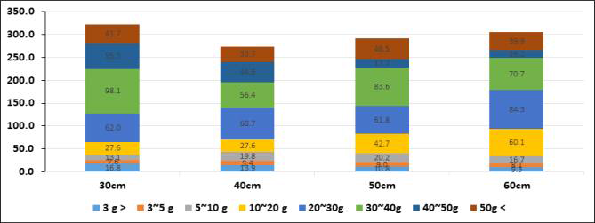 베드 높이(깊이)에 따른 무게별 괴경 분포