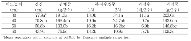 가을재배 베드 높이(깊이)에 따른 생육 및 수량 특성