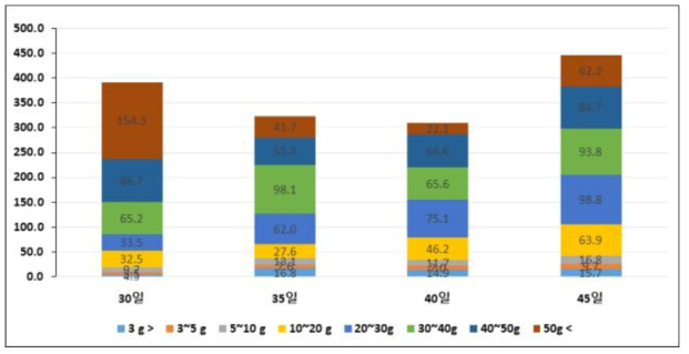 봄재배 pH처리 시기에 따른 무게별 괴경수