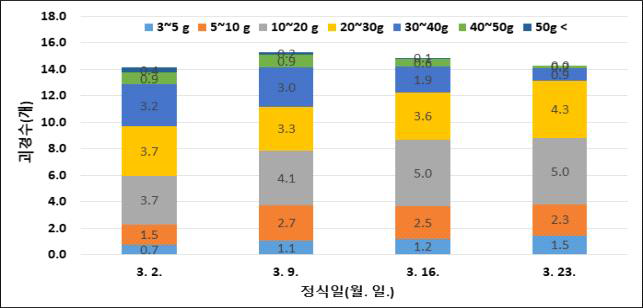 봄재배시 정식시기에 따른 크기별 괴경 분포