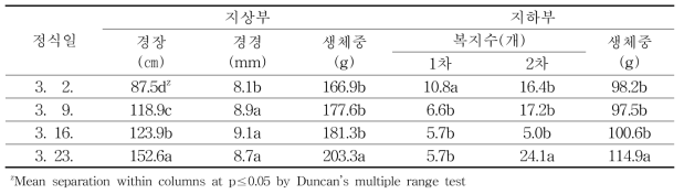 봄재배시 정식시기에 따른 생육 특성(정식 후 94일)