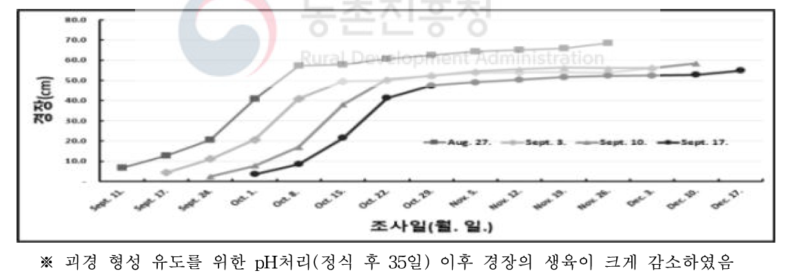 가을재배 정식시기에 따른 경장 변화