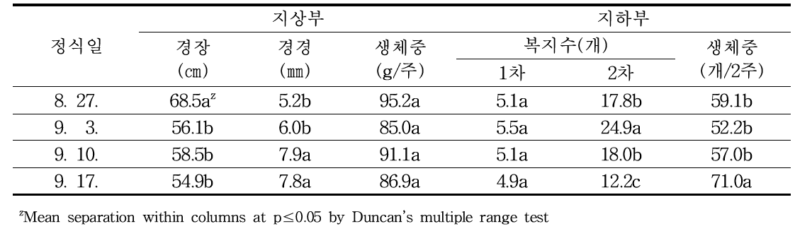 가을재배 정식시기에 따른 생육 특성(정식 후 90)