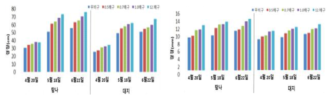 봄재배 시기별 지상부 생육특성