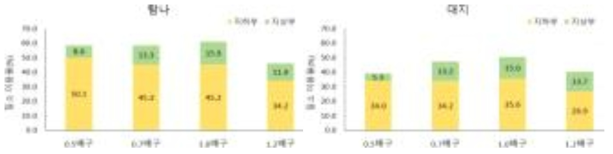 봄재배 ‘탐나’와 ‘대지’의 질소 이용율(%)