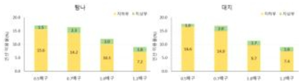 봄재배 ‘탐나’와 ‘대지’의 인산 이용율(%)