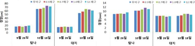 가을재배 시기별 지상부 생육특성