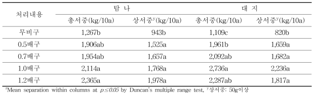 가을재배 ‘탐나’와 ‘대지’의 시비 수준별 수량성