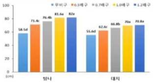 봄재배 개화기 경장 특성