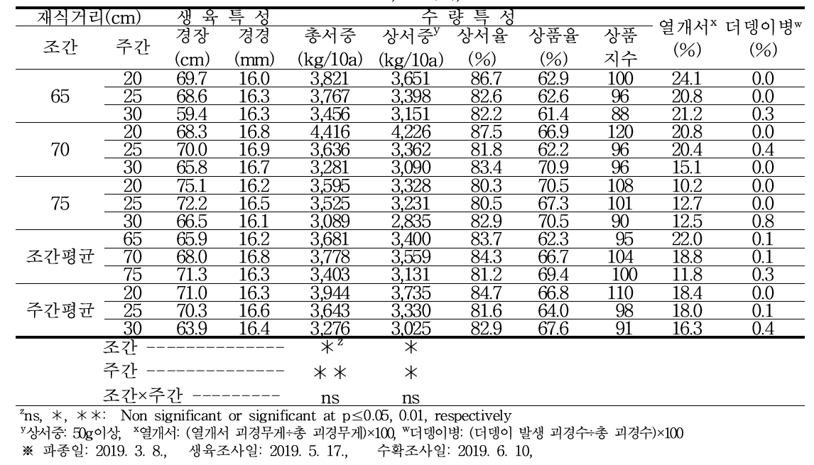 봄재배시 재식거리별 생육 및 수량특성, 열개서, 더뎅이병 발생율(2019)