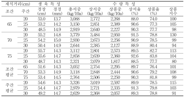 봄재배시 재식거리별 생육 및 수량특성(2018∼2019년)