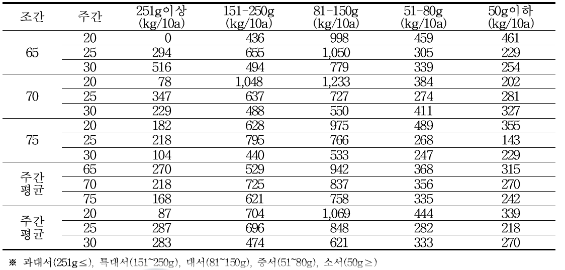 봄재배시 재식거리에 따른 괴경크기별 수량성(2018년)