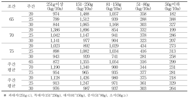 봄재배시 재식거리에 따른 괴경크기별 수량성(2019년)