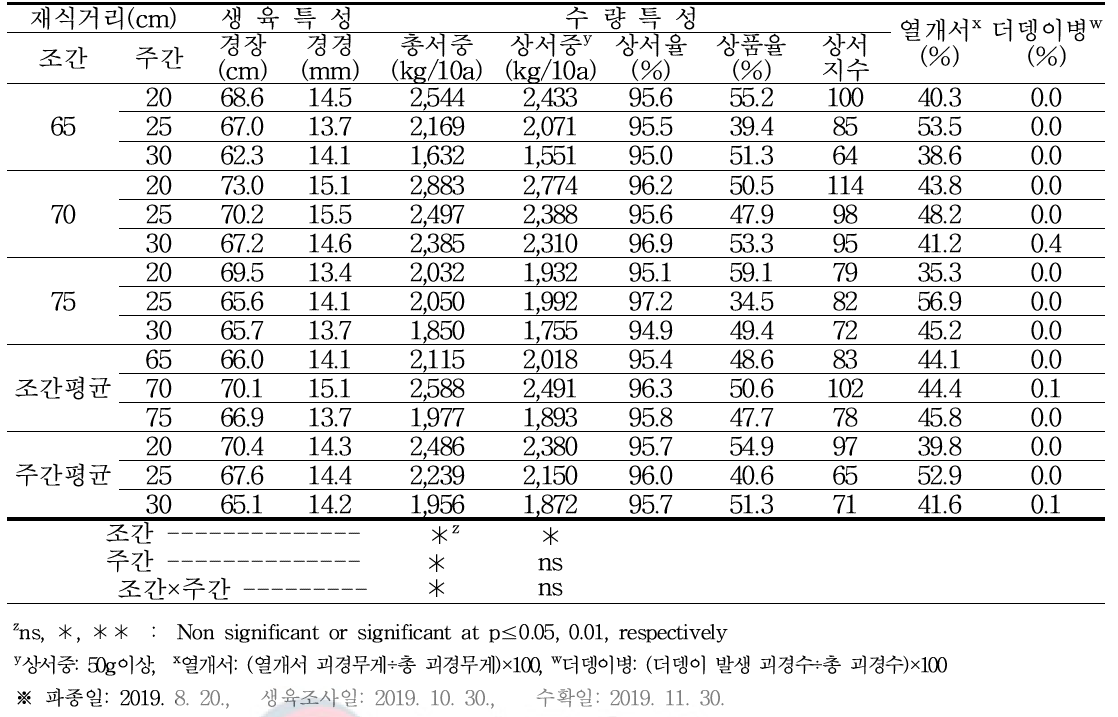 가을재배시 재식거리별 생육 및 수량특성, 열개서, 더뎅이병 발생율(2019년)