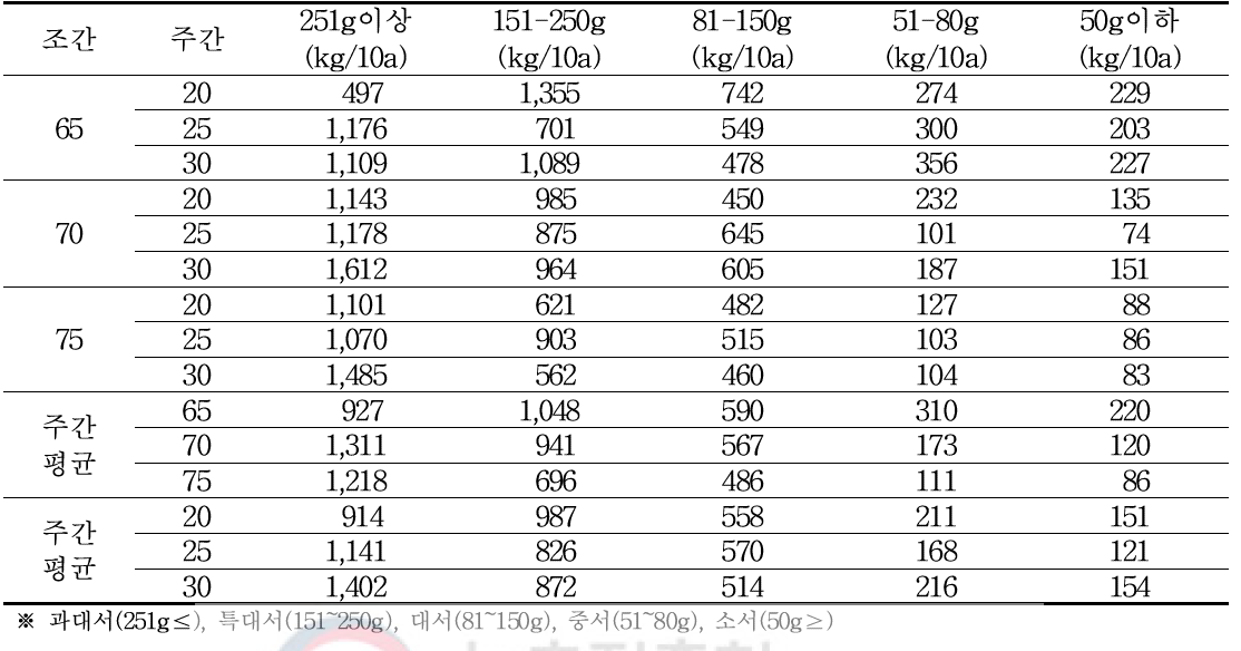 가을재배시 재식거리에 따른 괴경크기별 수량성(2018)