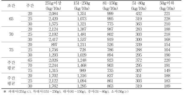 가을재배시 재식거리에 따른 괴경크기별 수량성(2019)