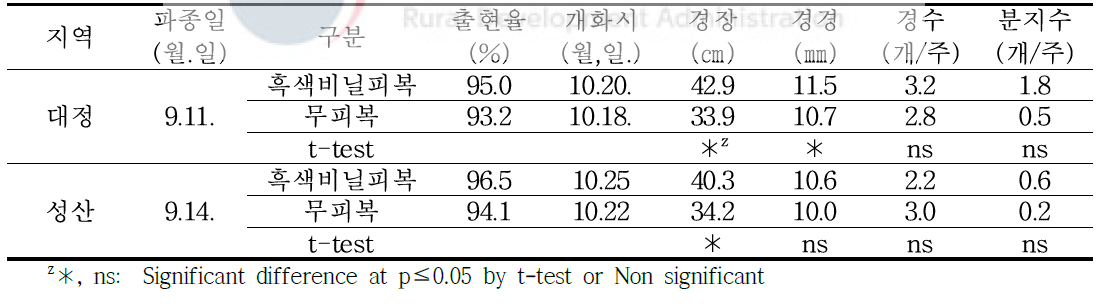 가을재배시 피복 처리에 따른 생육특성(농가실증, 2020년)