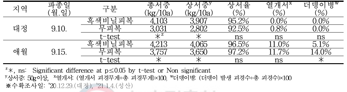 가을재배시 피복 처리에 따른 수량특성, 열개서, 더뎅이병 발생율 (자체시험, 2020년)