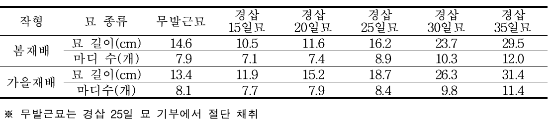 정식묘 특성