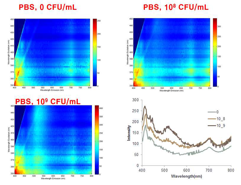 대장균 농도별 형광 분광 특성